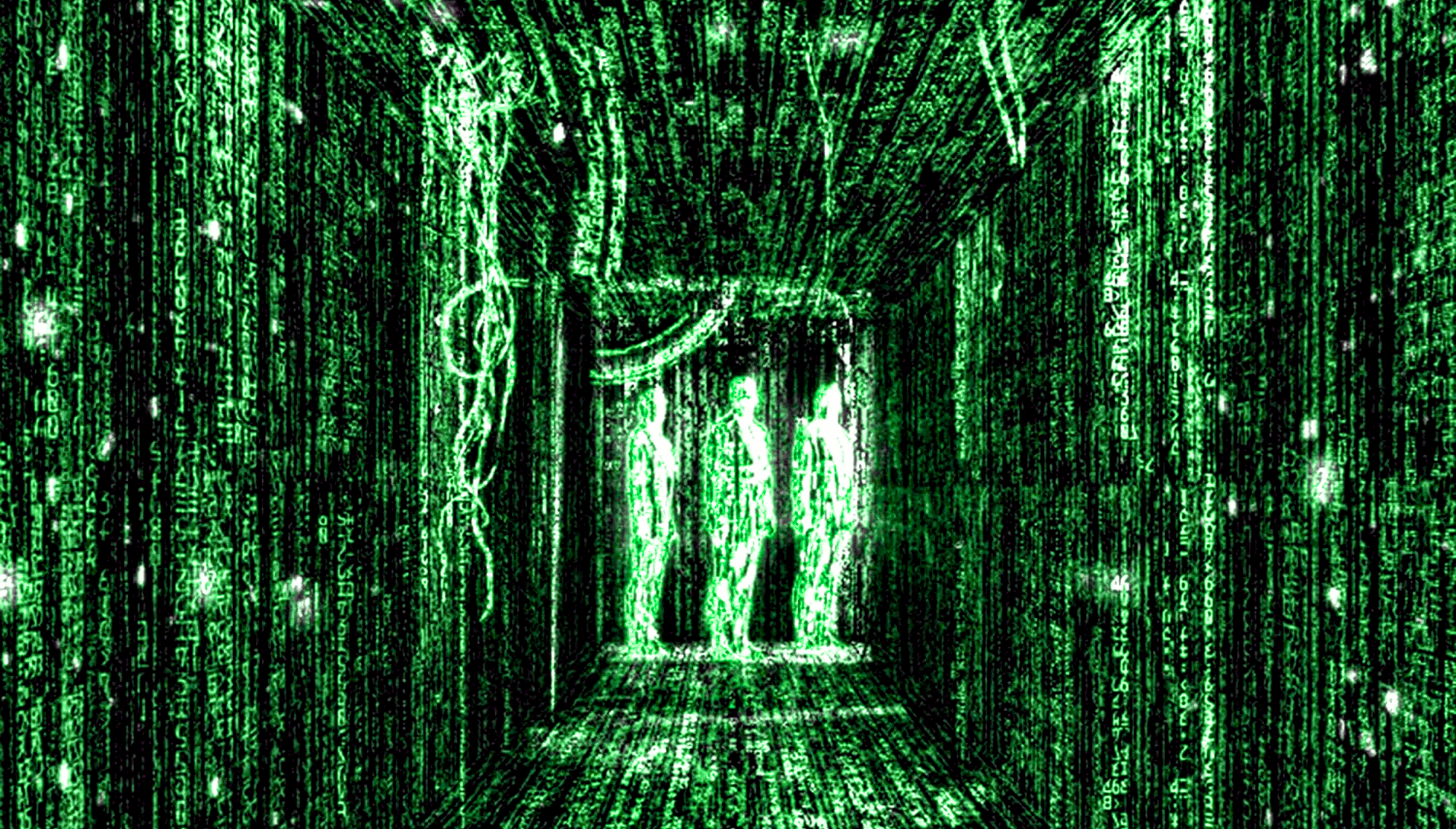 Seeing the Matrix Seeing the Matrix