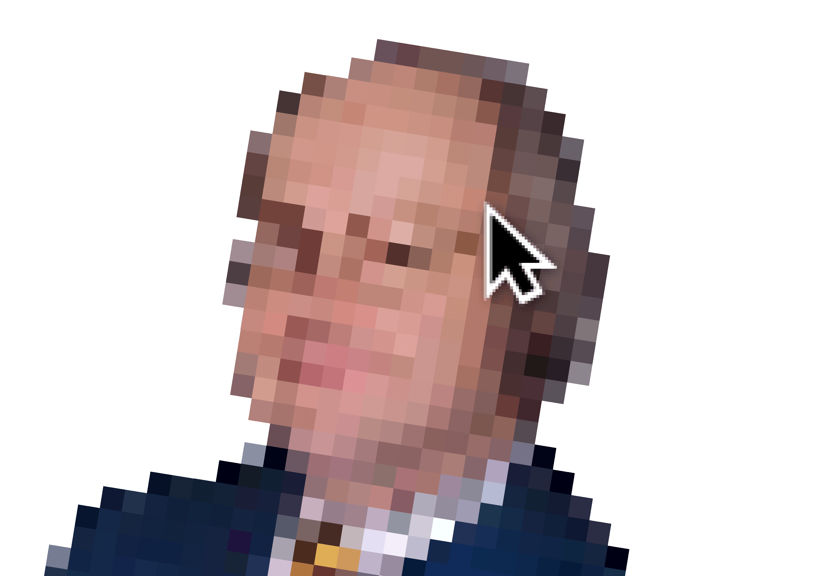 Jakob Nielsen, pixelated with macOS pointer