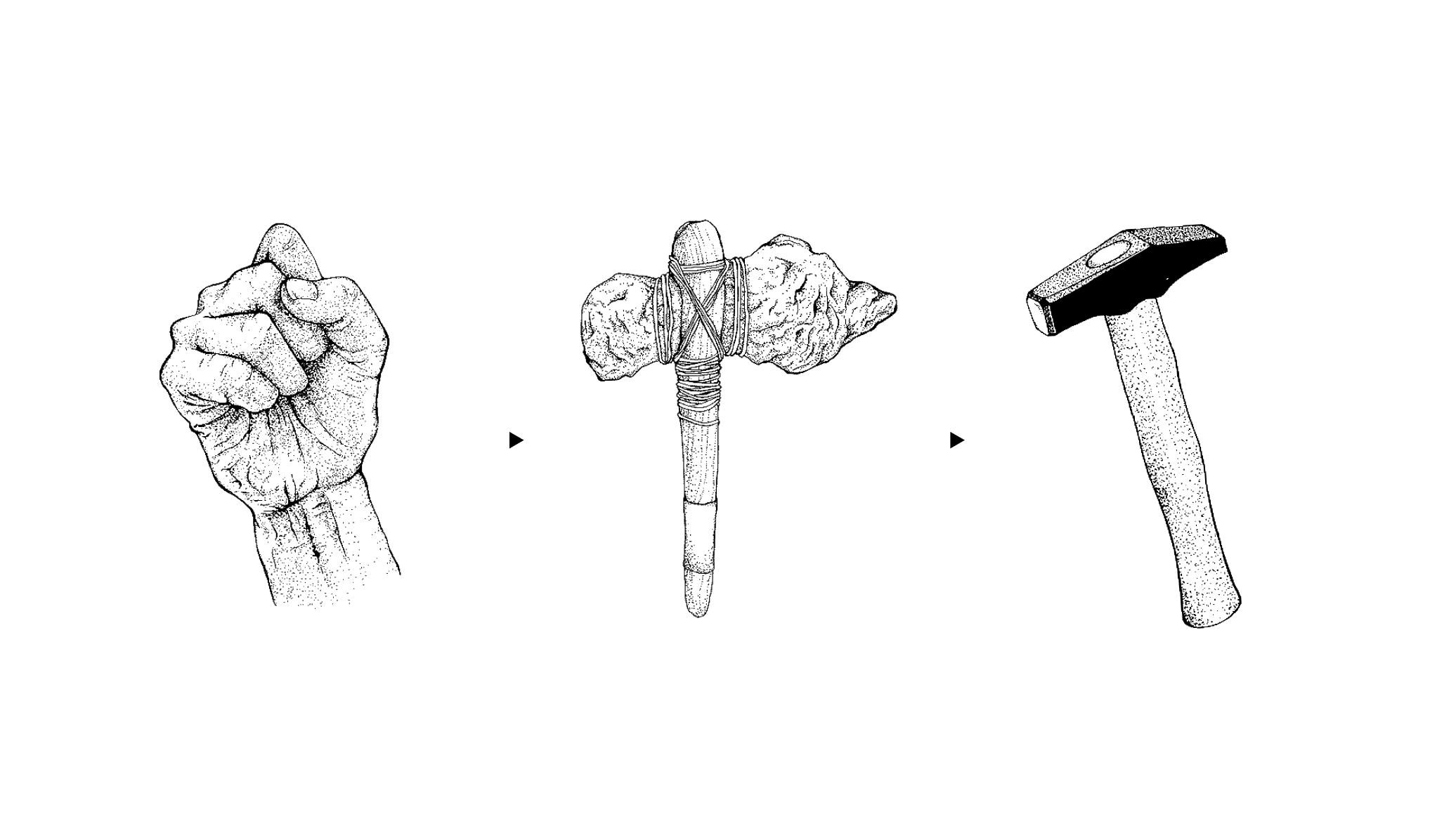 Fist, stone axe, hammer