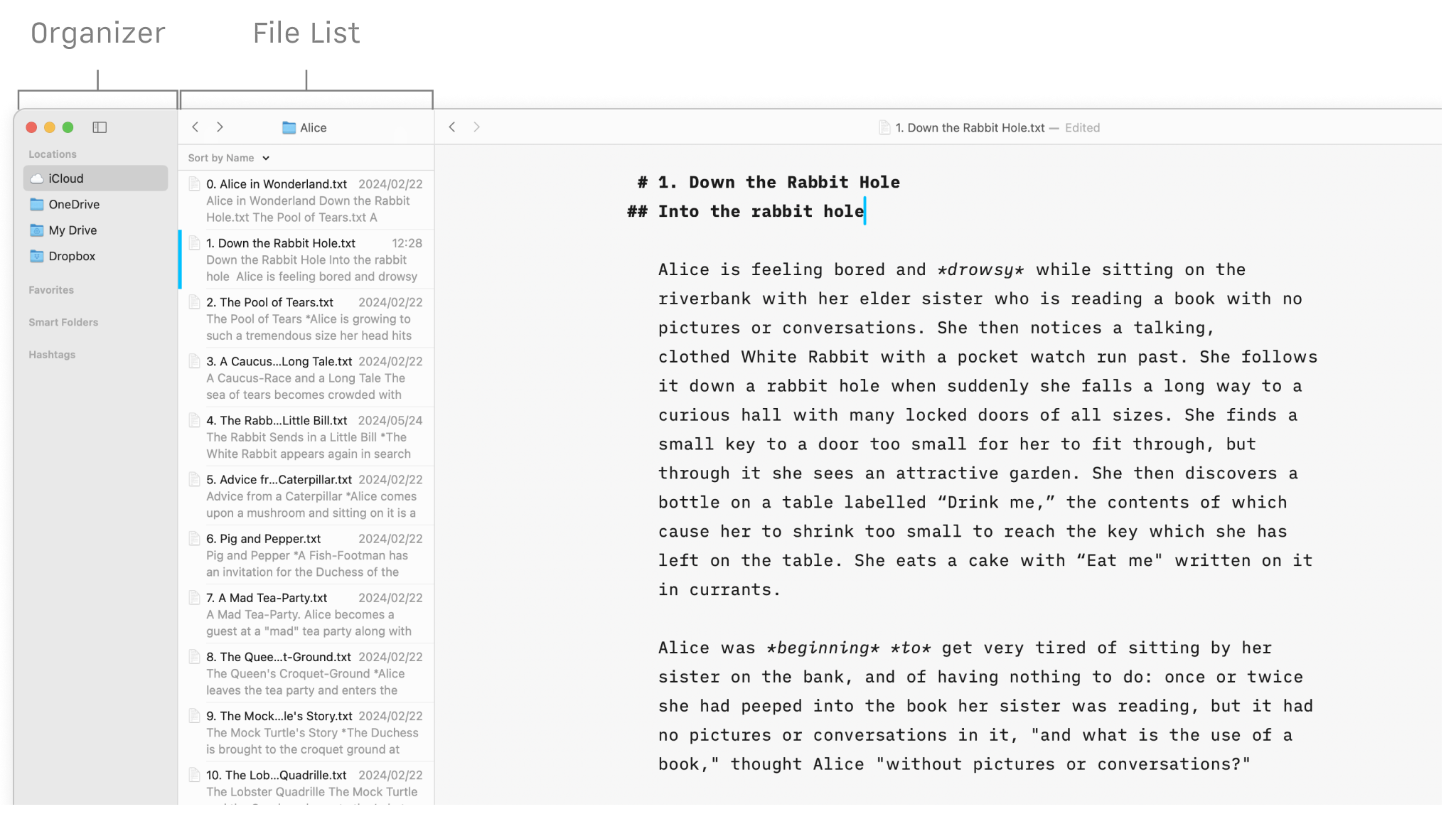 The Library pane open: the Organizer in grey on the left and File list besides with a white background.