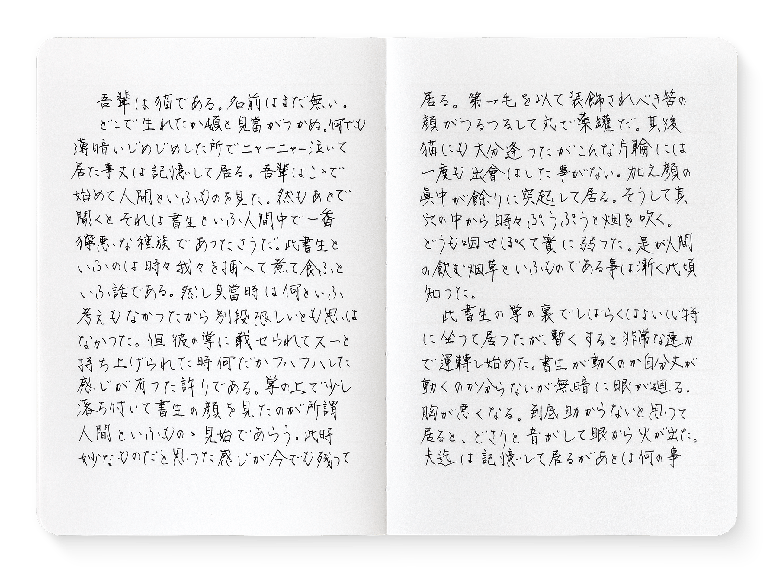 Notebook with text where lines appear to disappear