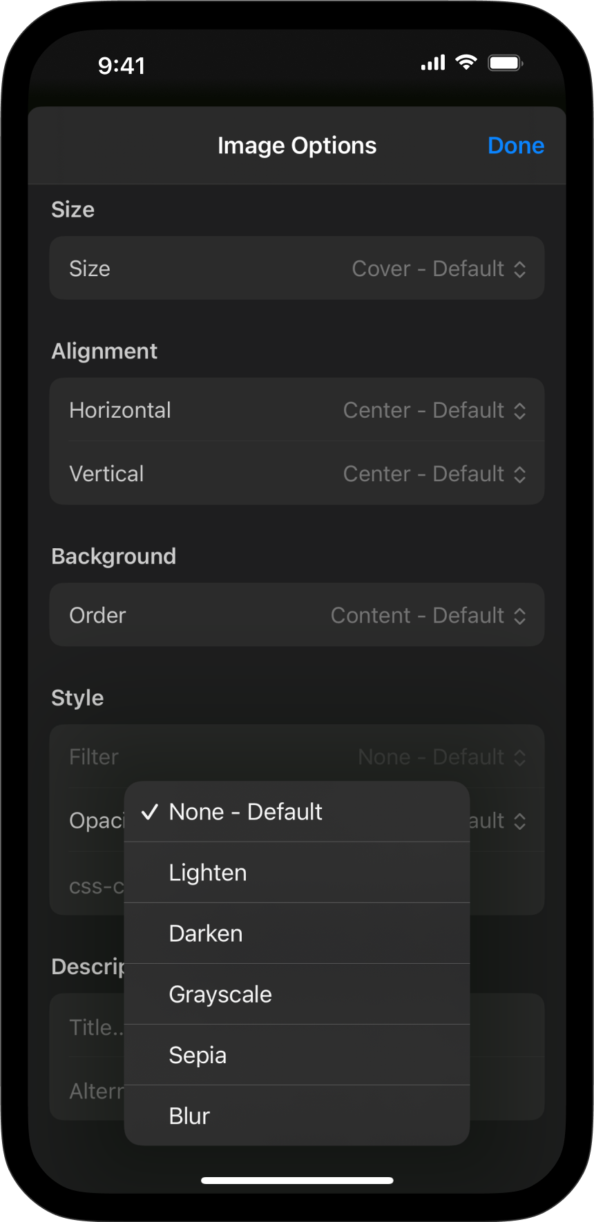 Screenshot showing filter options from the Image Options menu.