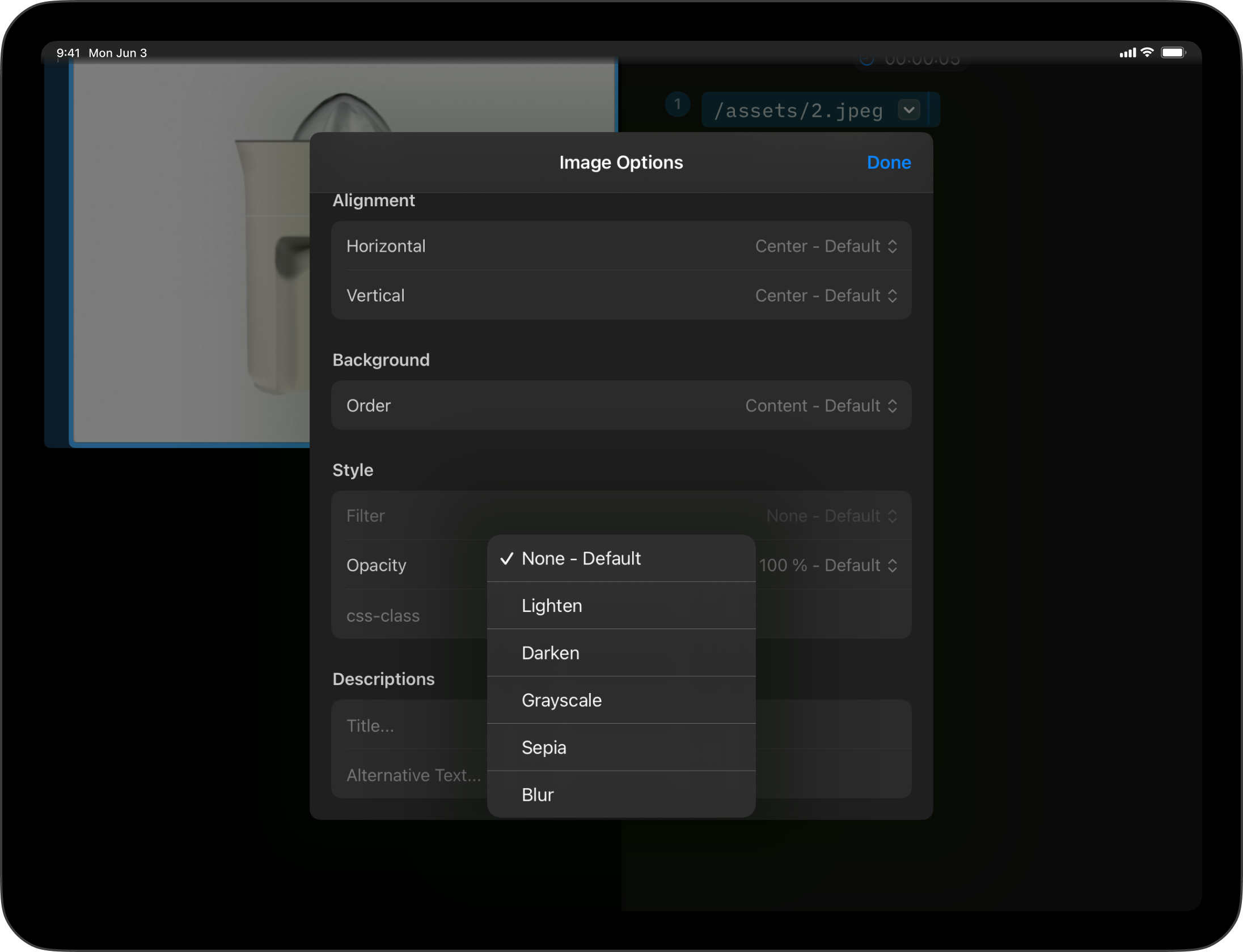 Screenshot of filter options in the Image Options menu.