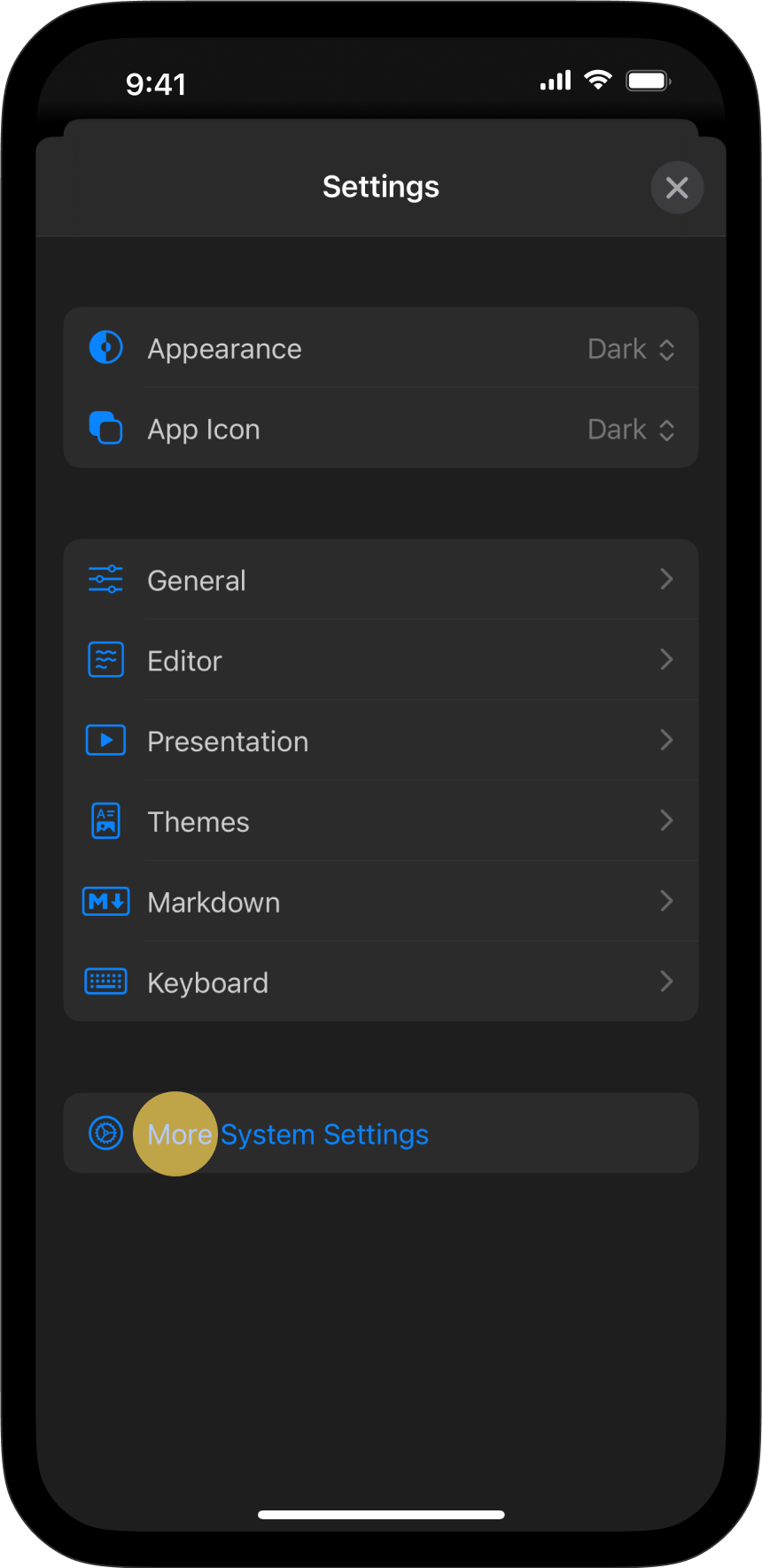 The Settings menu, with More Setting tab highlighted