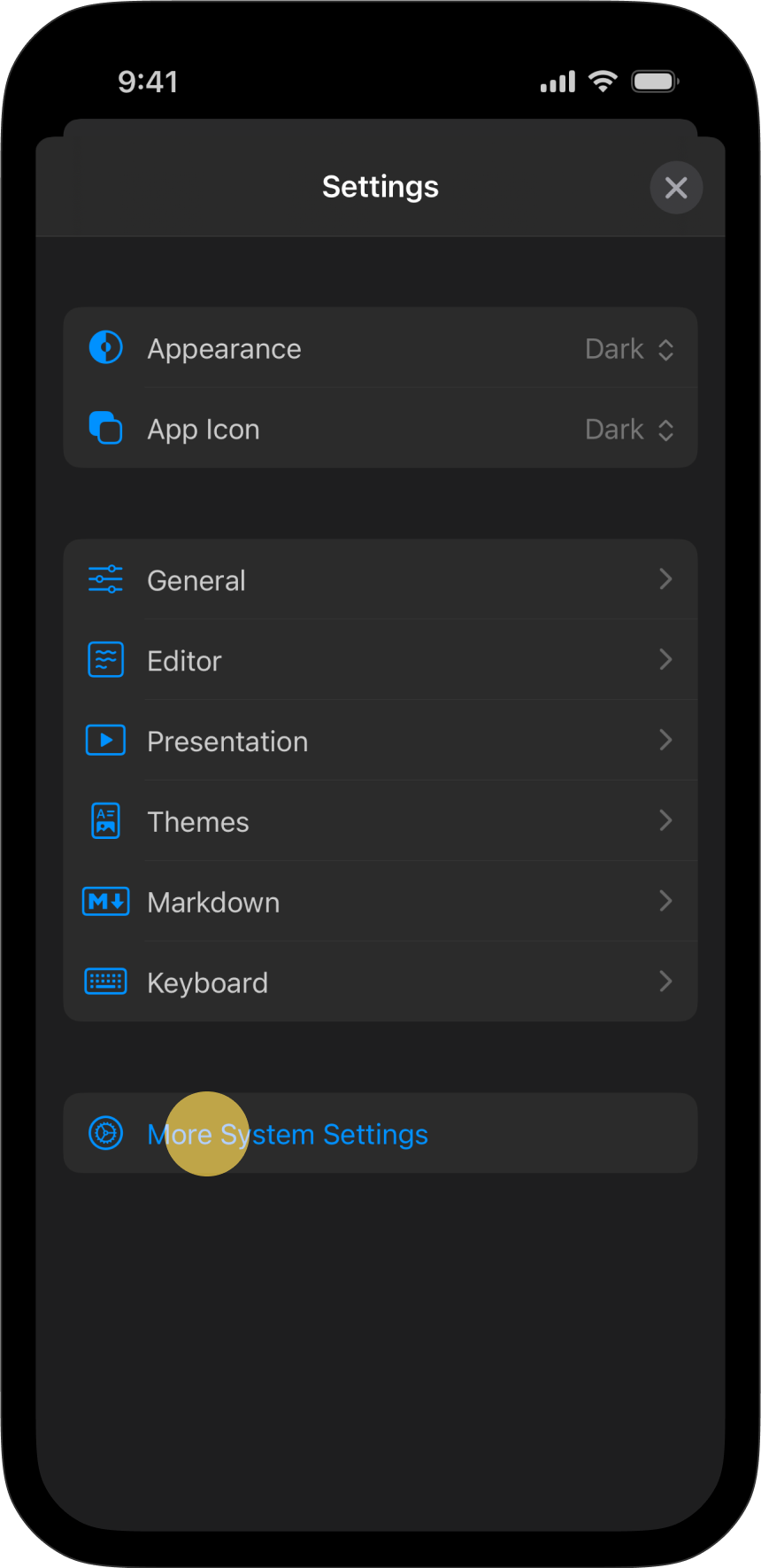 The Settings menu, with More Setting tab highlighted
