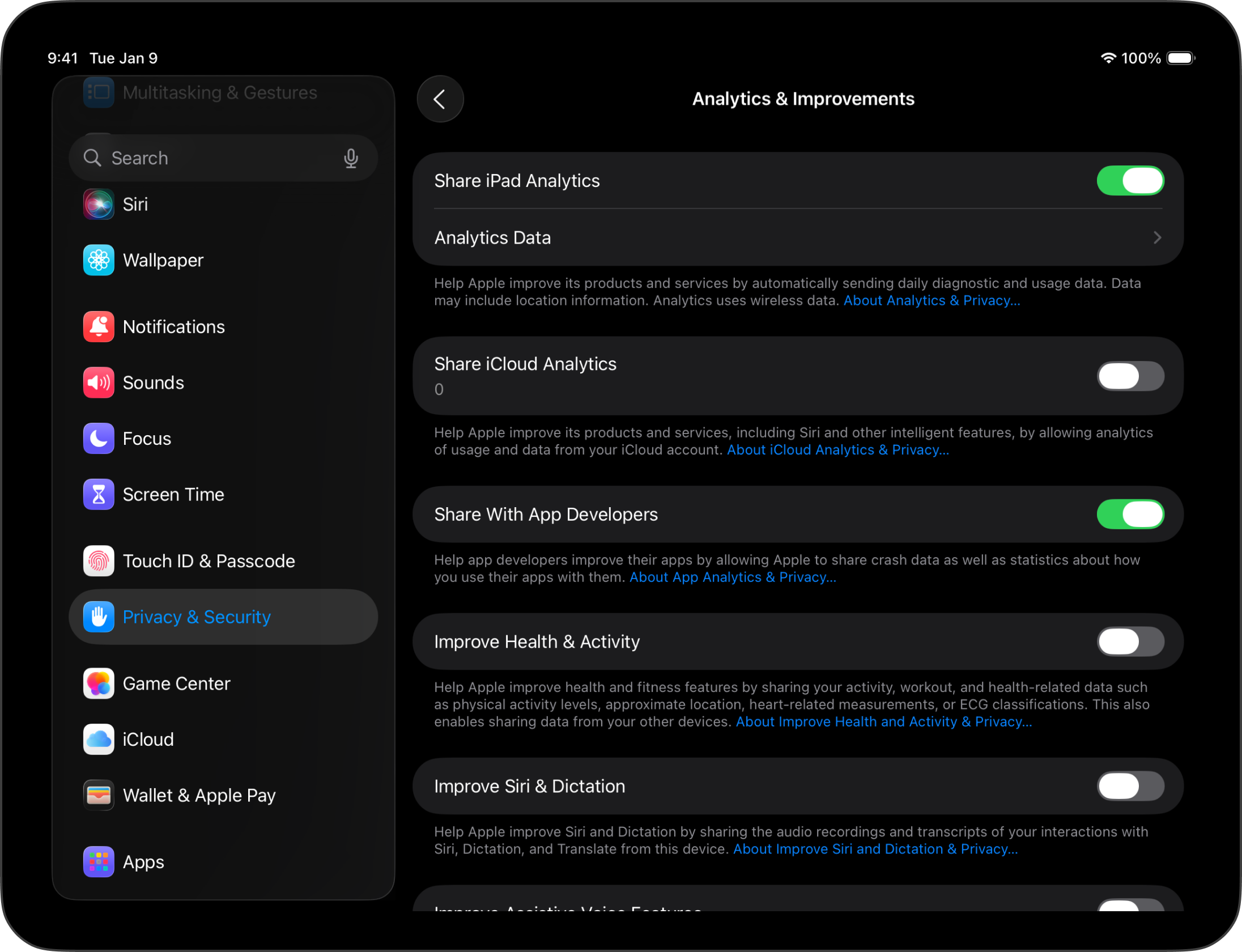 Screenshot of the iPadOS Settings, Privacy and security, to share analytics with developers.