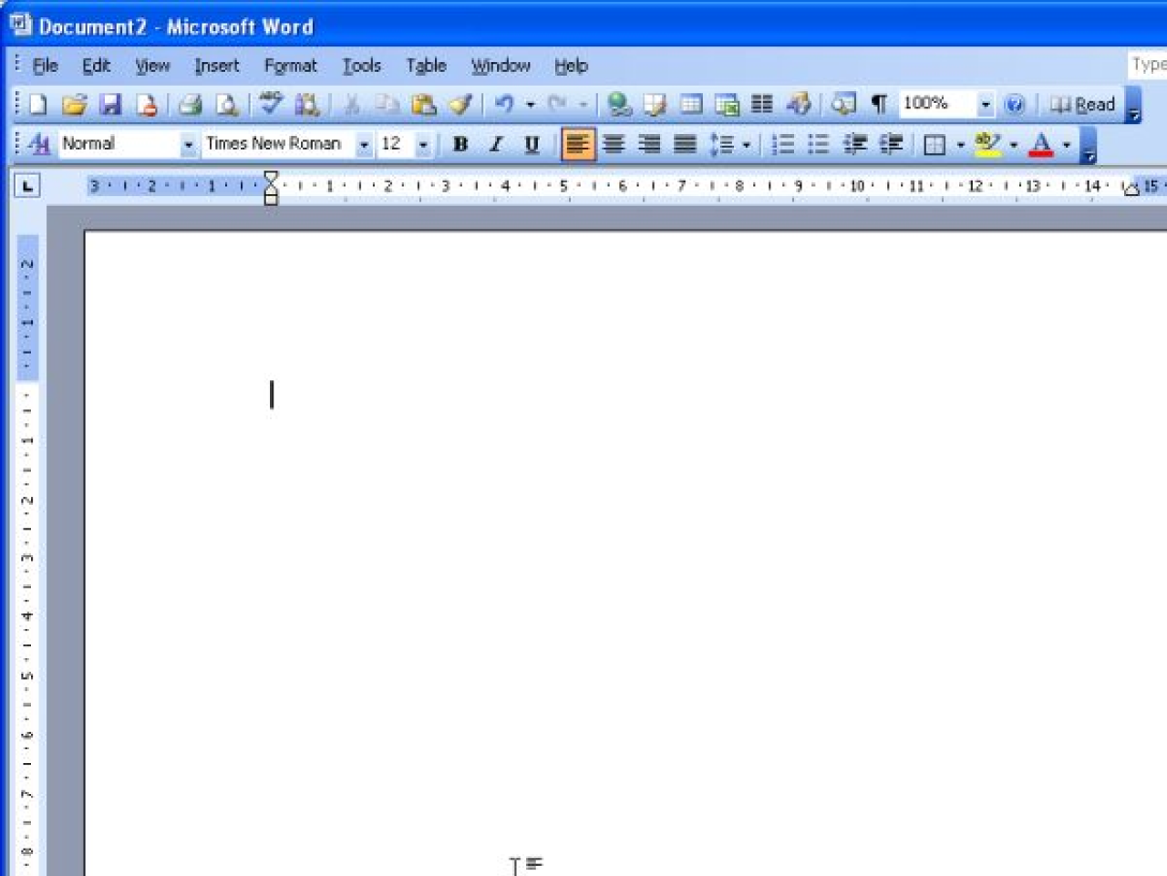 MS Word for Windows circa 2003